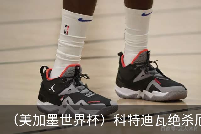 （美加墨世界杯）科特迪瓦绝杀厄瓜多尔 瑞典5:1大胜突尼斯