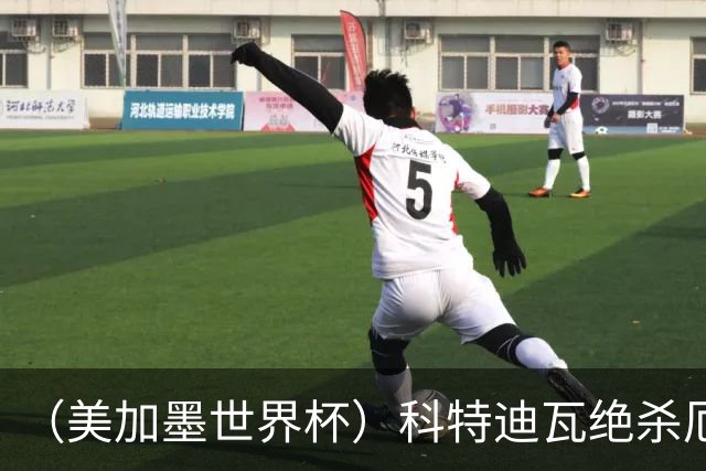 （美加墨世界杯）科特迪瓦绝杀厄瓜多尔 瑞典5:1大胜突尼斯